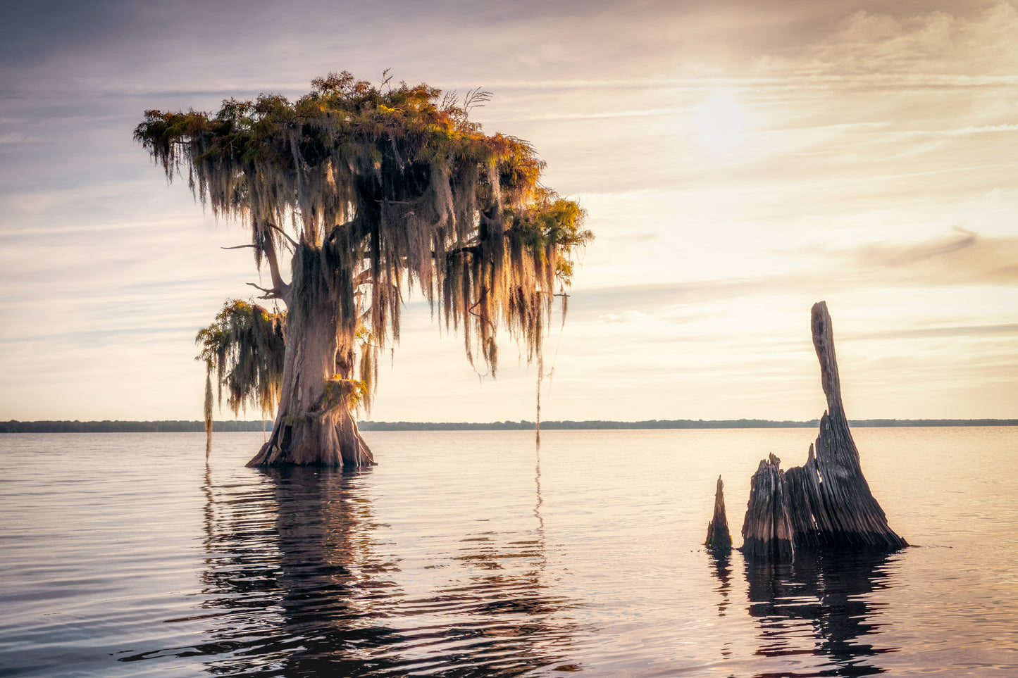 Early Morning on Blue Cypress Lake