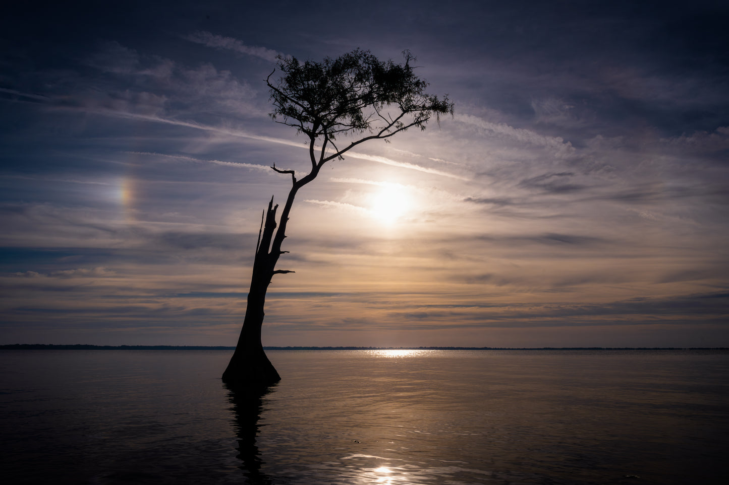 Sunrise on Blue Cypress Lake